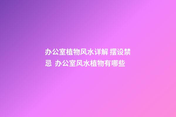 办公室植物风水详解 摆设禁忌  办公室风水植物有哪些